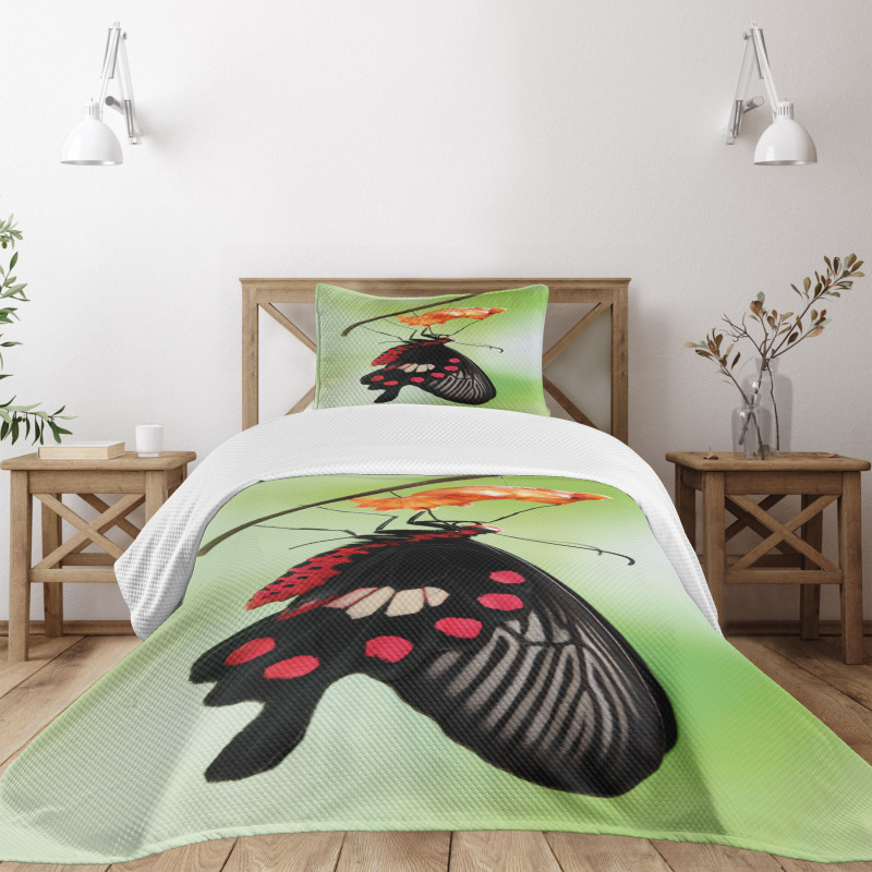 Open Cocoon Bedspread Set