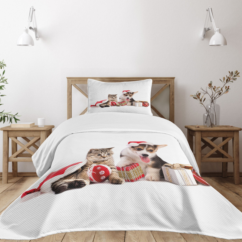 Dog Cat with Presents Bedspread Set