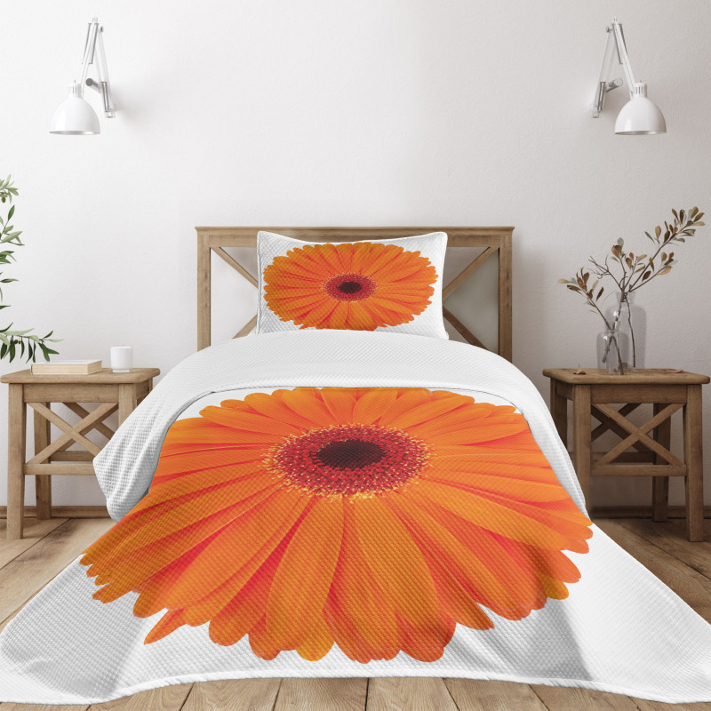 Vivid Flower of Gerbera Bedspread Set