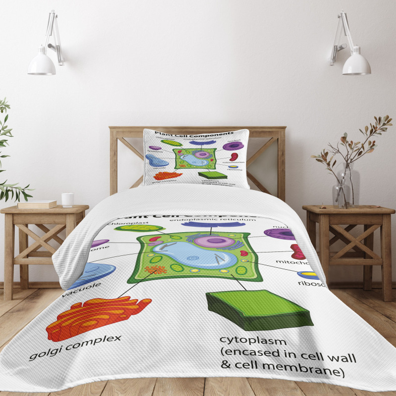 Cartoon Science Bedspread Set