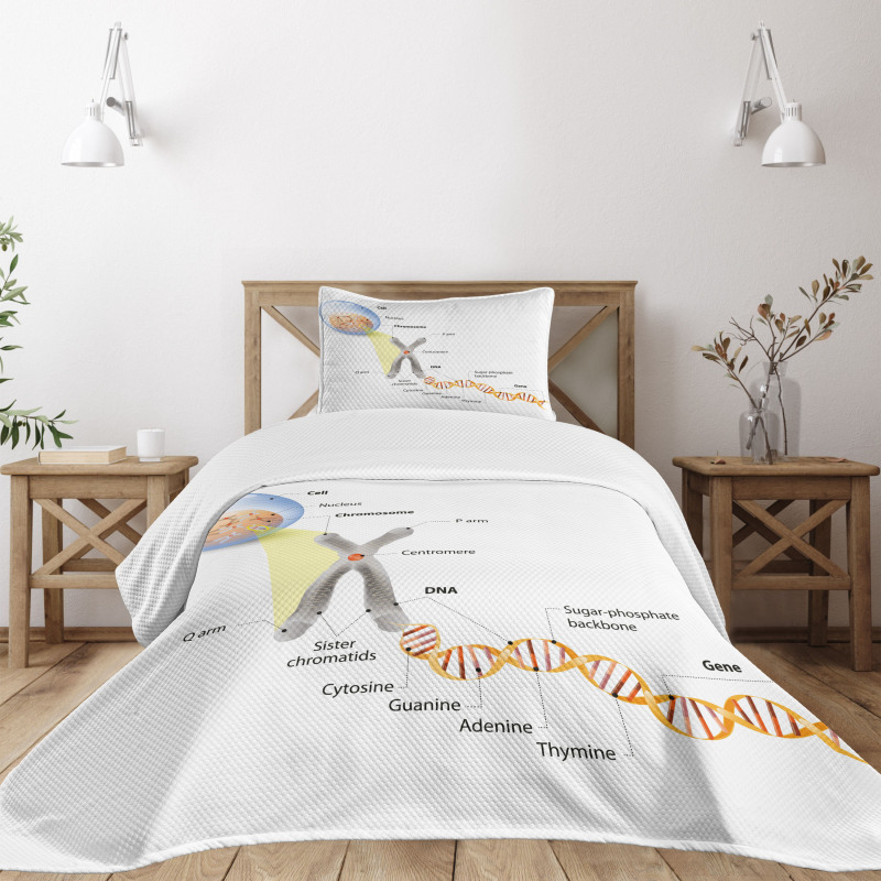 DNA Gene Genome Bedspread Set