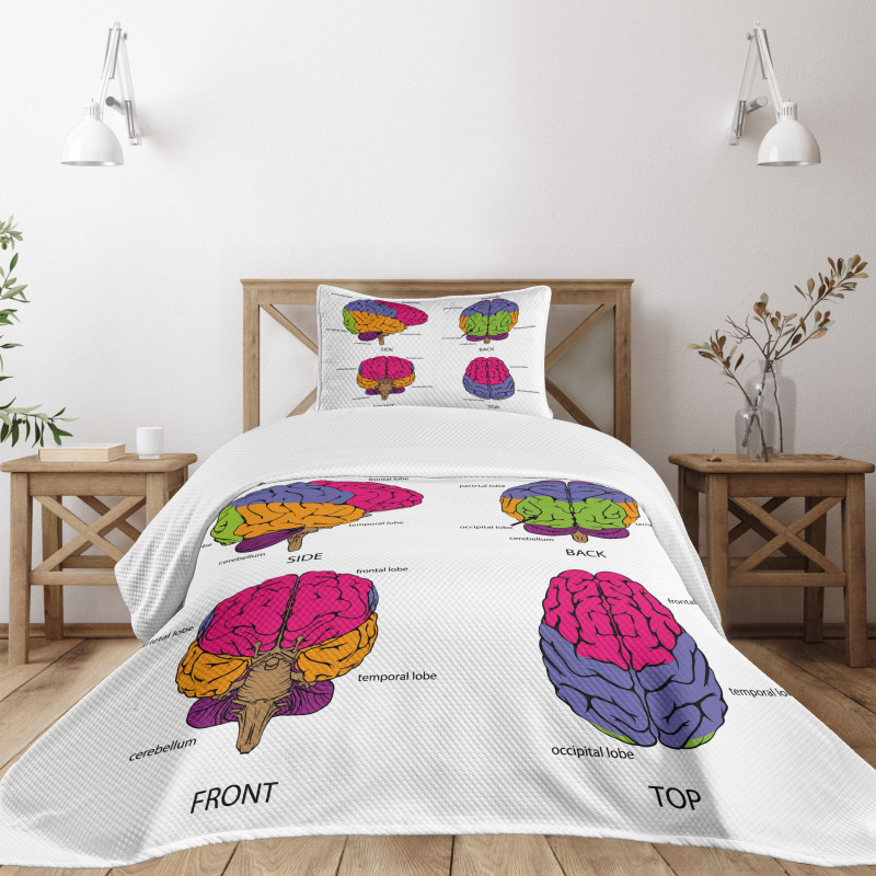 Human Brain Colors Bedspread Set