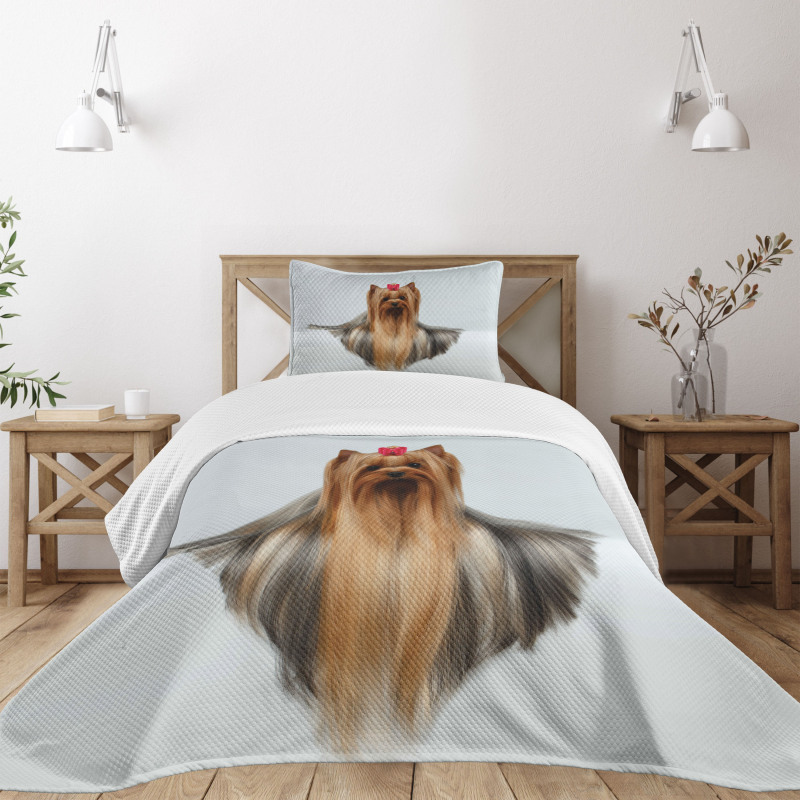 Groomed Hair Bedspread Set