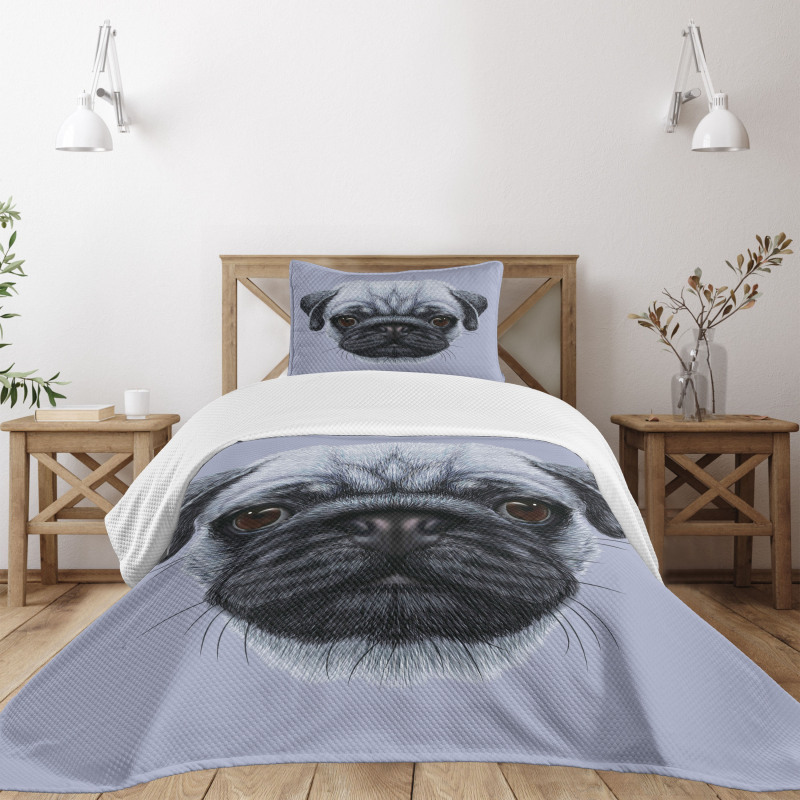 Young Puppy Giant Eyes Bedspread Set