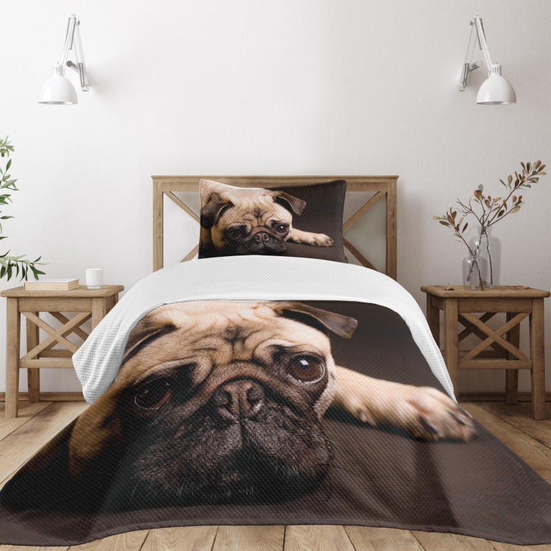 Puppy Photograph Animals Bedspread Set