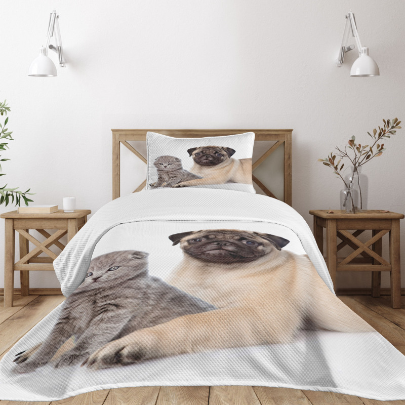 Young Puppy and Kitten Bedspread Set