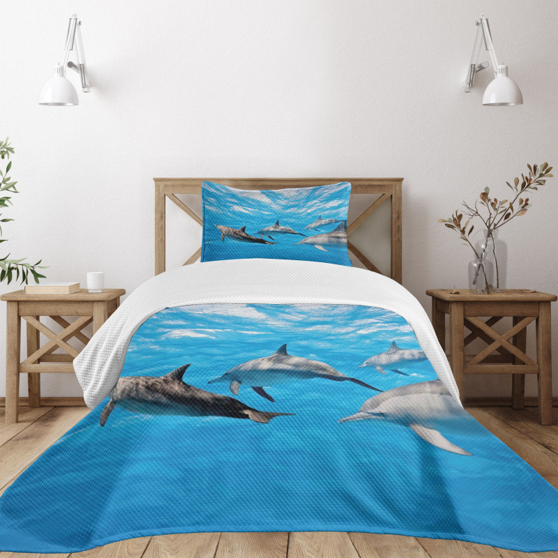 Happily Swimming Fish Bedspread Set