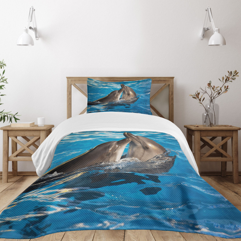 Aqua Show Photography Bedspread Set