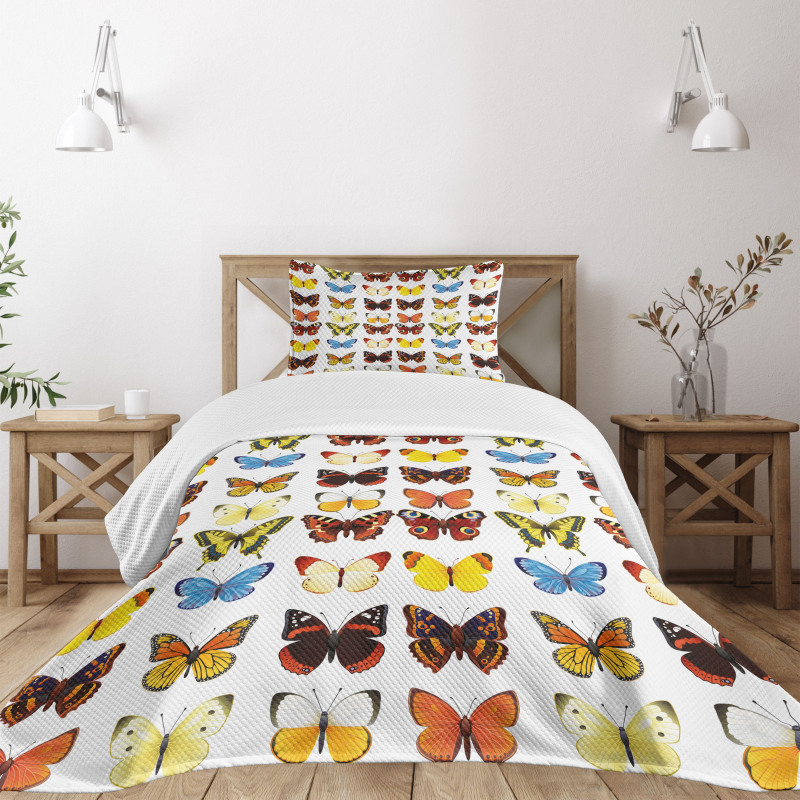 Butterflies Many Shapes Bedspread Set