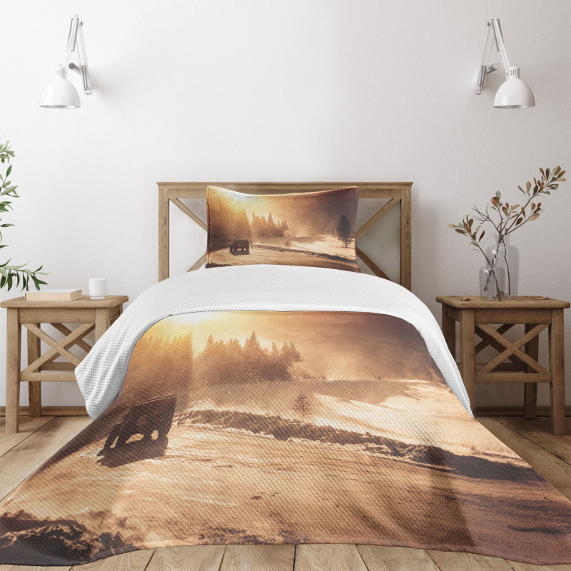 Colorado Mountain Road Bedspread Set