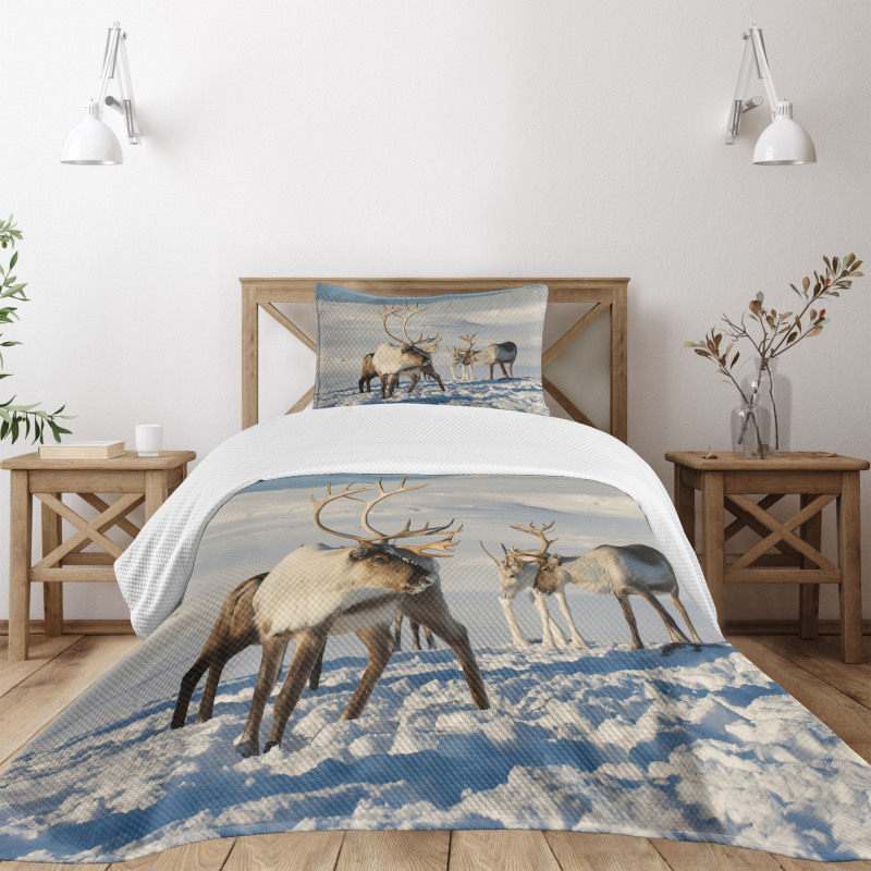 Reindeers Norway Caribou Bedspread Set