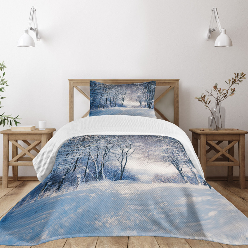 Alley in Snowy Forest Bedspread Set