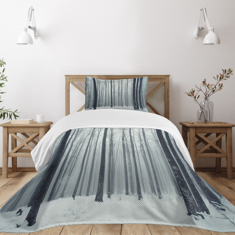 Foggy Mysterious Woods Bedspread Set