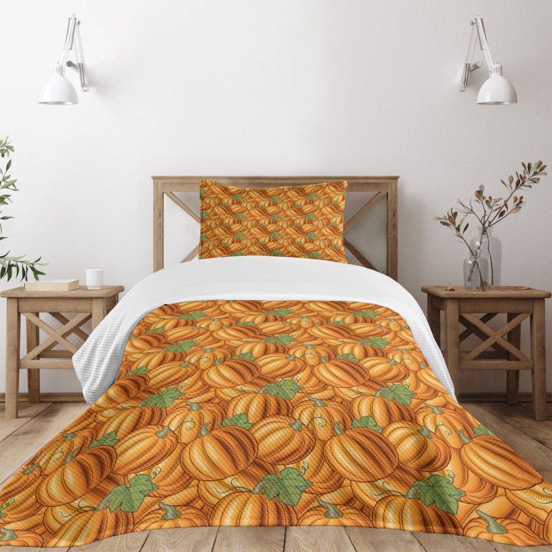 Vibrant Colored Pumkins Bedspread Set