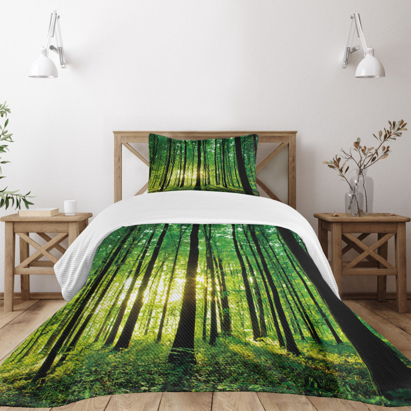 Green Woodland Sunrise Bedspread Set