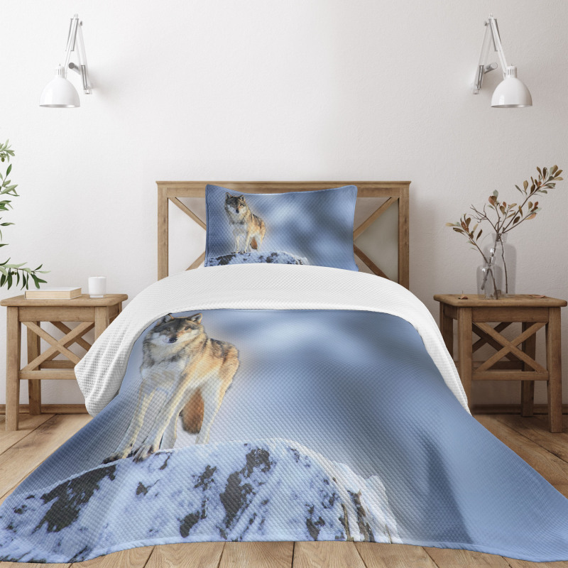 Carnivore Canine in Snow Bedspread Set