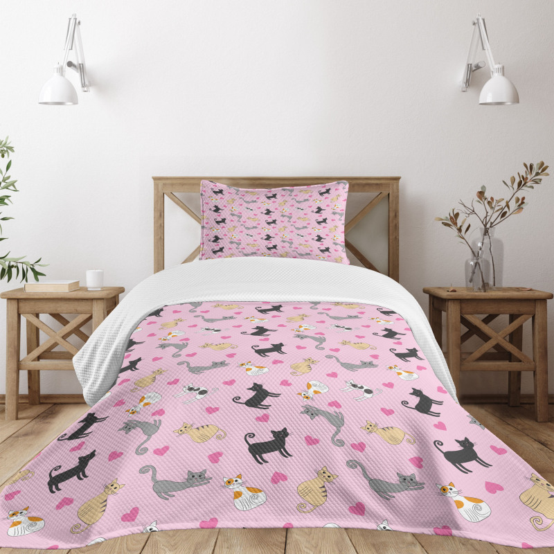 Colorful Different Cats Bedspread Set