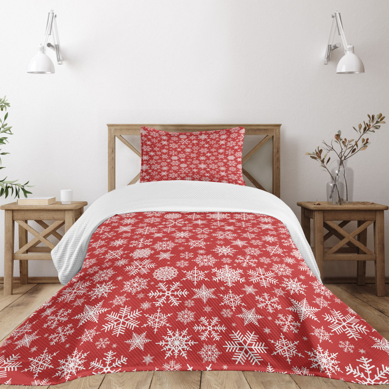 Various Snowflakes Winter Bedspread Set