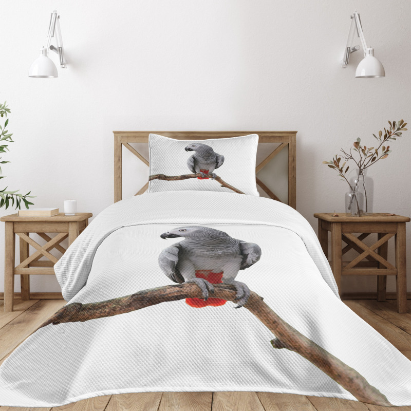 Parrot on a Branch Bedspread Set