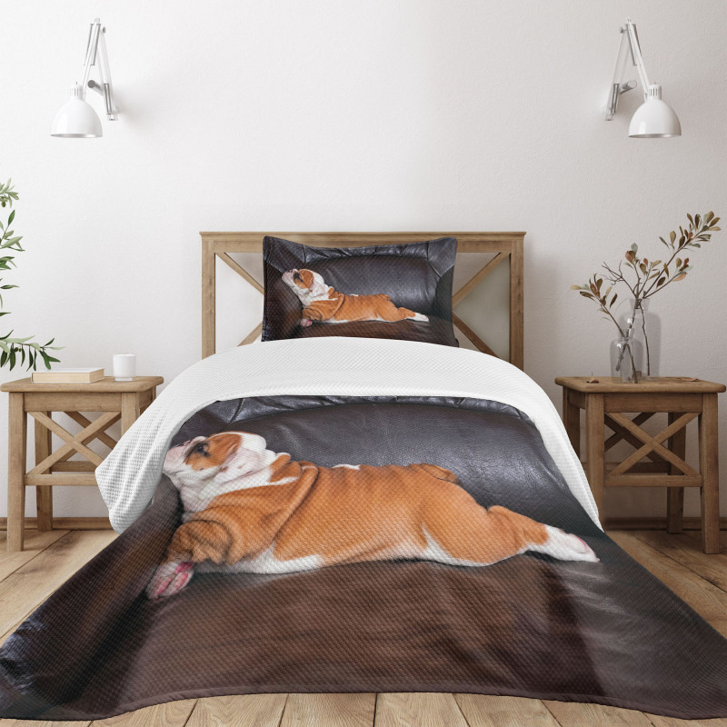 Resting Puppy Bedspread Set