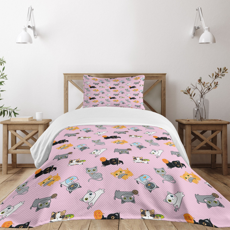 Colorful Baby Kittens Bedspread Set