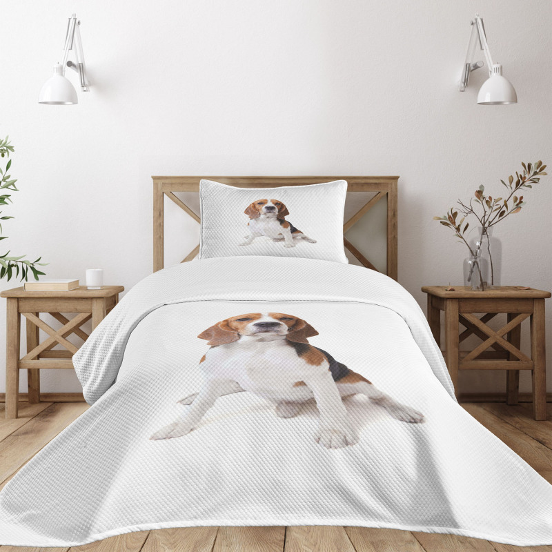 Puppy Dog Friend Posing Bedspread Set