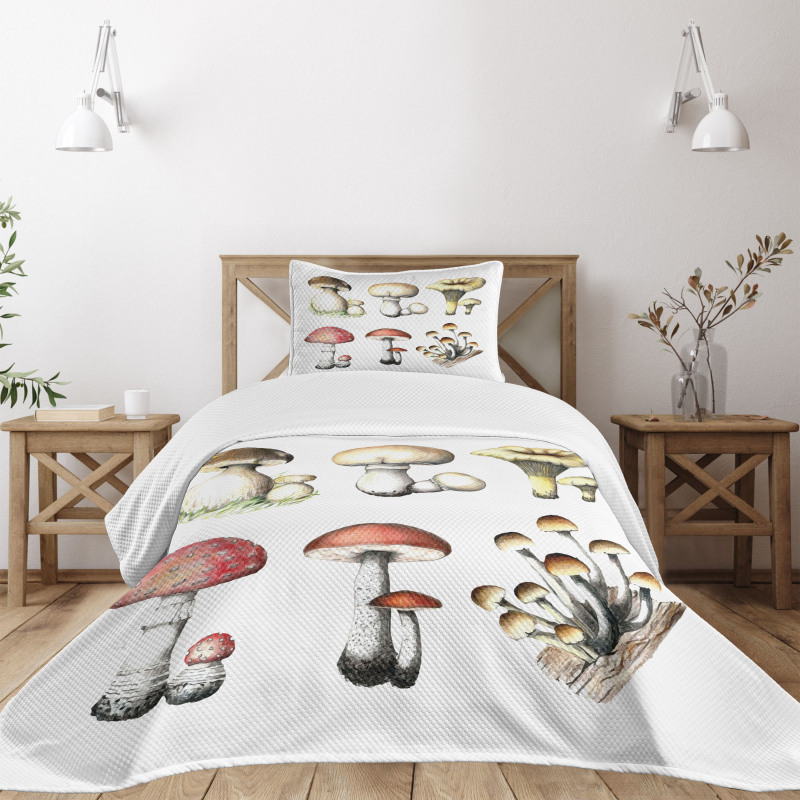 Hand Drawn Fungus Bedspread Set