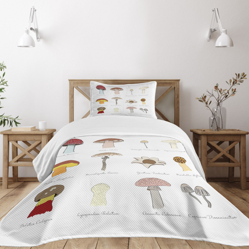 Blusher Boletus Sketch Bedspread Set