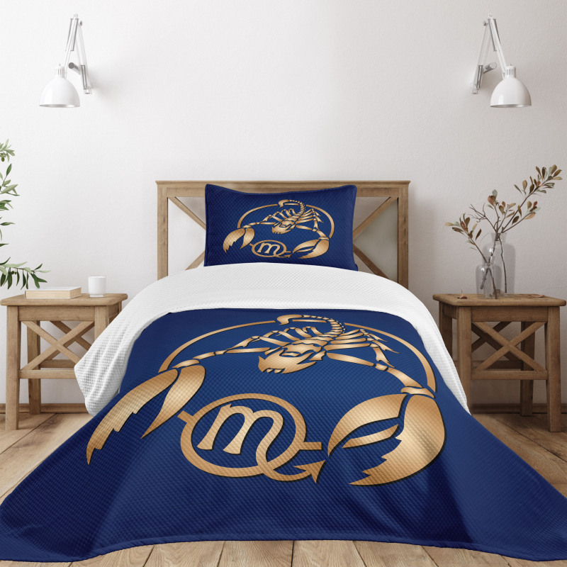 Blue Bedspread Set
