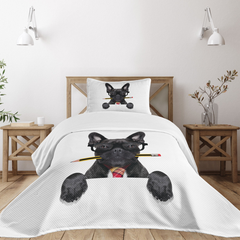 Businessman Dog Glasses Bedspread Set