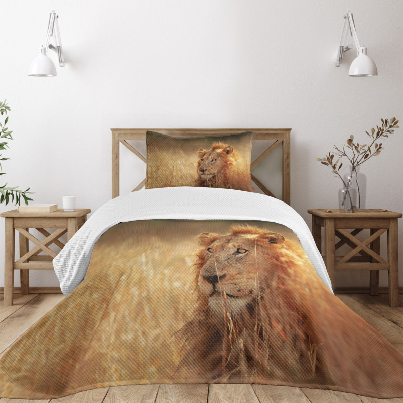 Male Lion Grass Field Bedspread Set