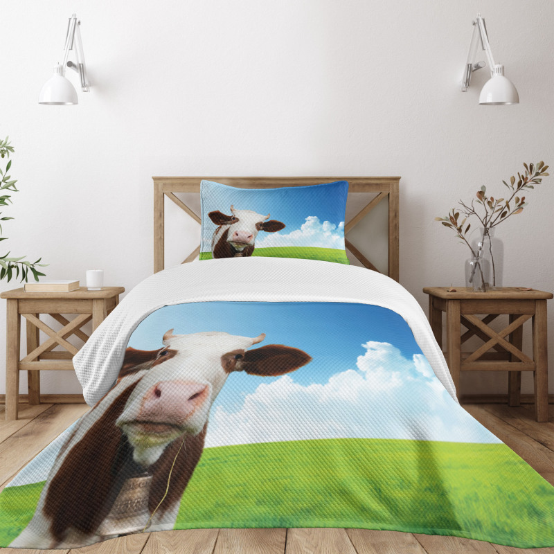 Staring Brown Animal Bedspread Set