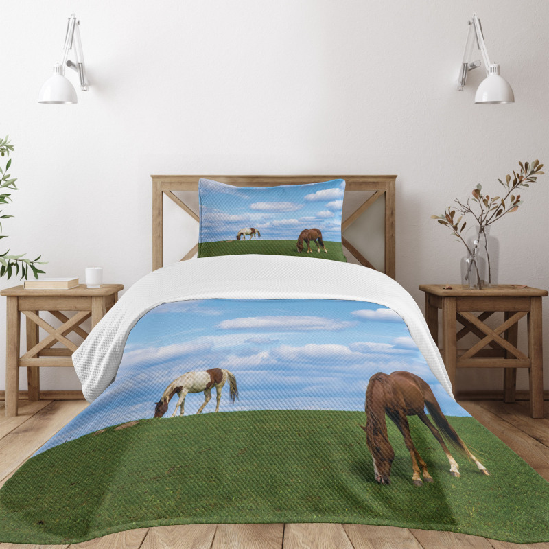 Horses Grazing Meadow Bedspread Set