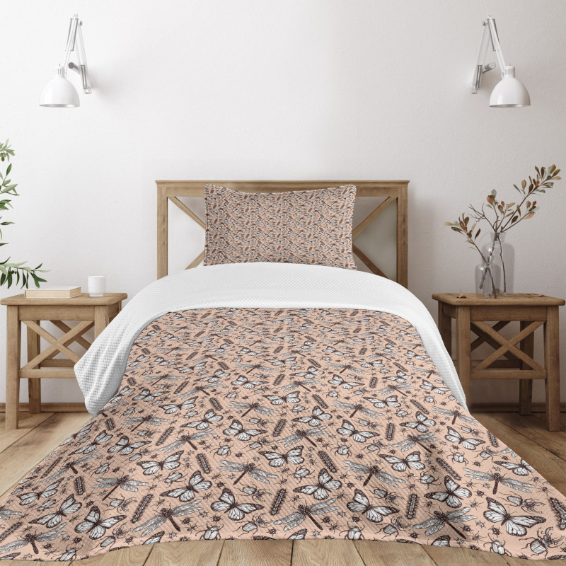 Insect Butterfly Sketch Bedspread Set