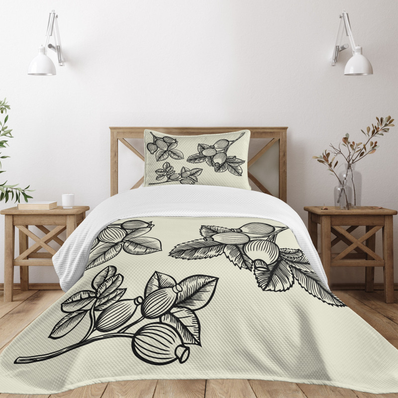 Rosa Canina Sketch Bedspread Set