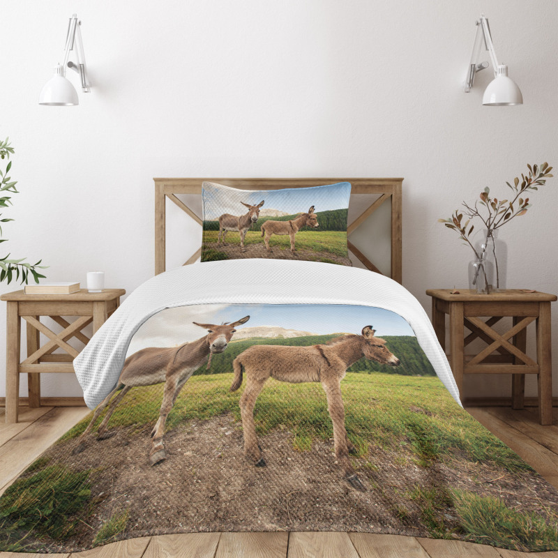 Dolomites Italy Countryside Bedspread Set