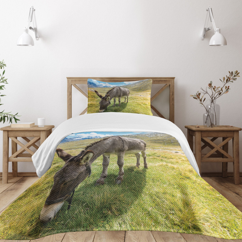 Donkey Eating Grass Mountain Bedspread Set