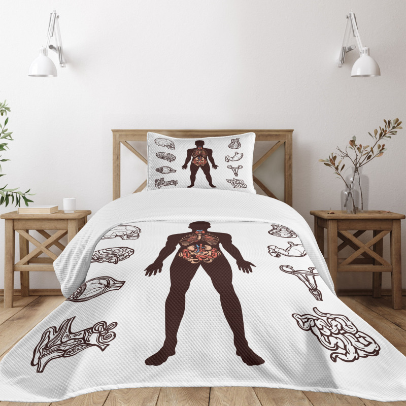 Organs Infographic Image Bedspread Set