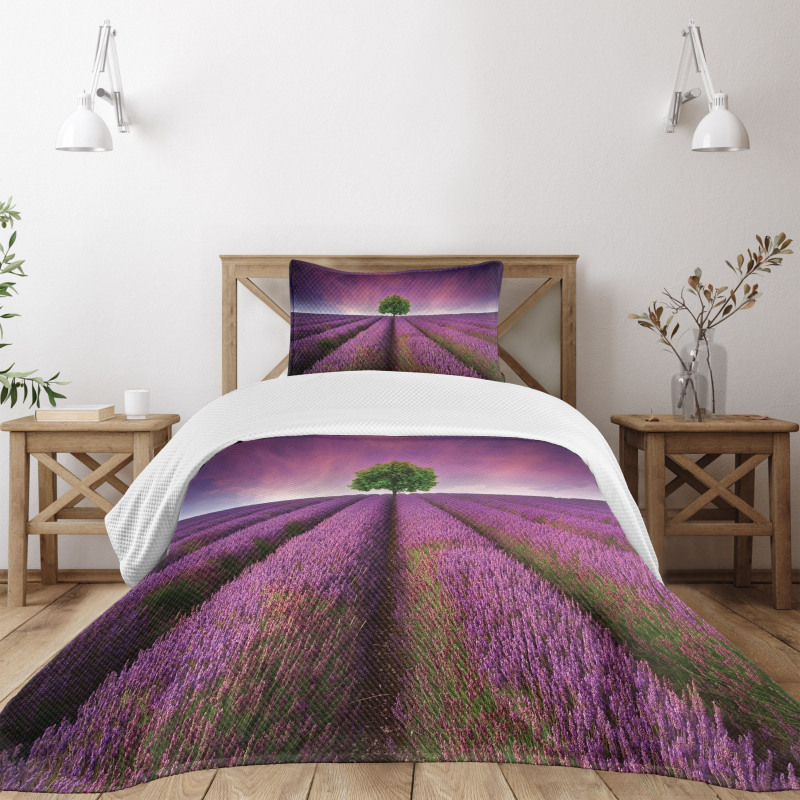 Lavender Fields and Tree Bedspread Set