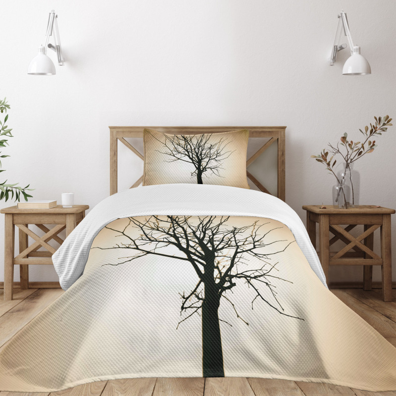 Barren Tree on Ombre Bedspread Set