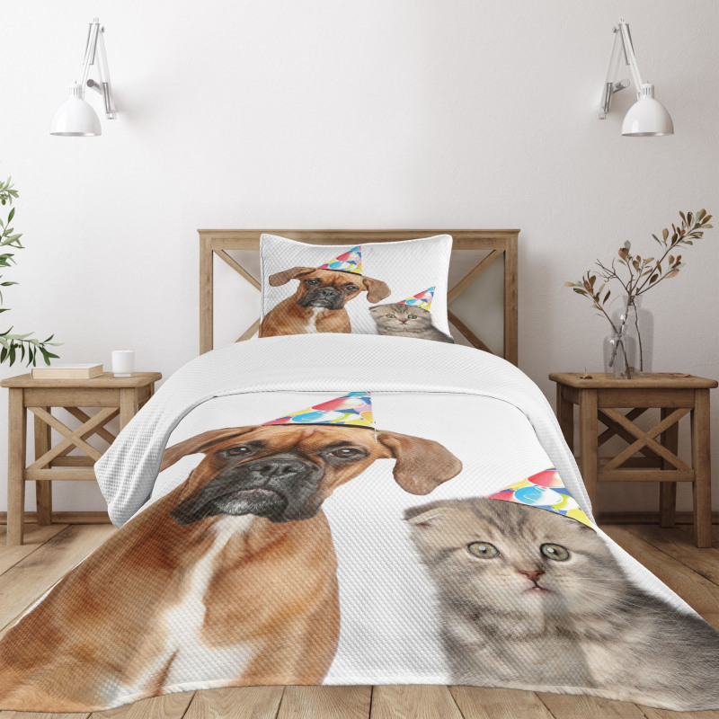 Funny Dog Scottish Cat Bedspread Set