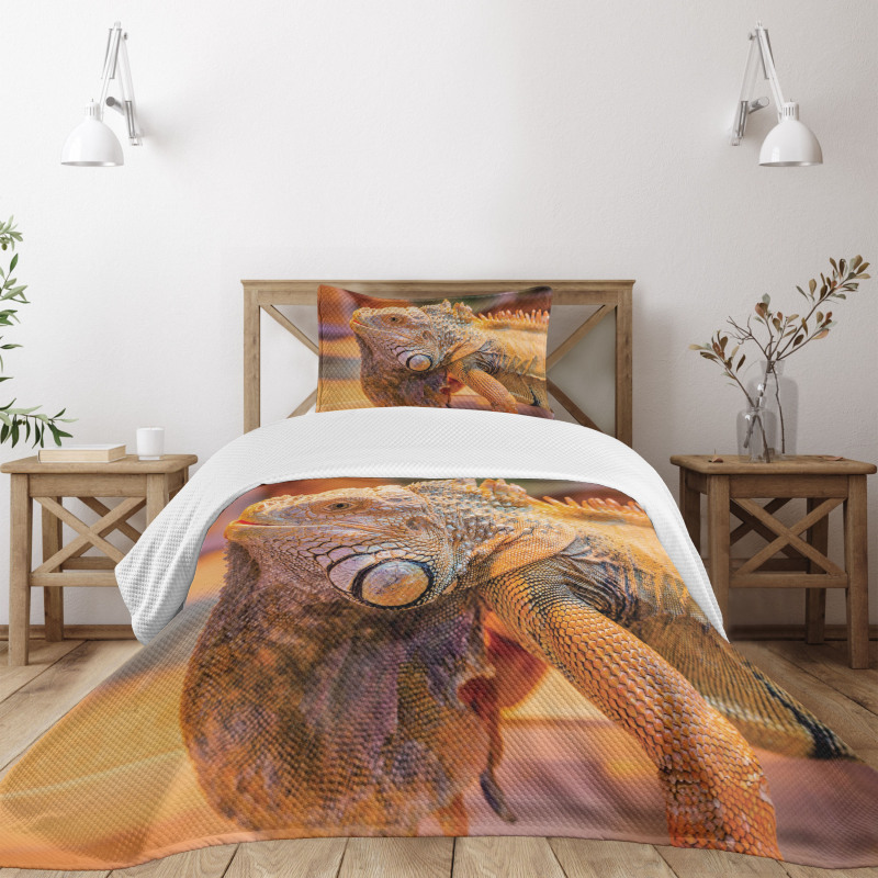 Caribbean Arboreal Animal Bedspread Set