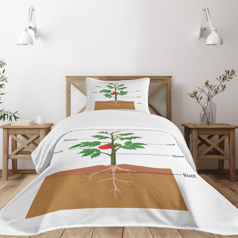 Parts of a Tomato Plant Bedspread Set