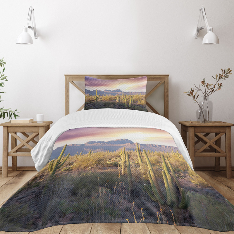 Saguaro Cactus and Mountain Bedspread Set