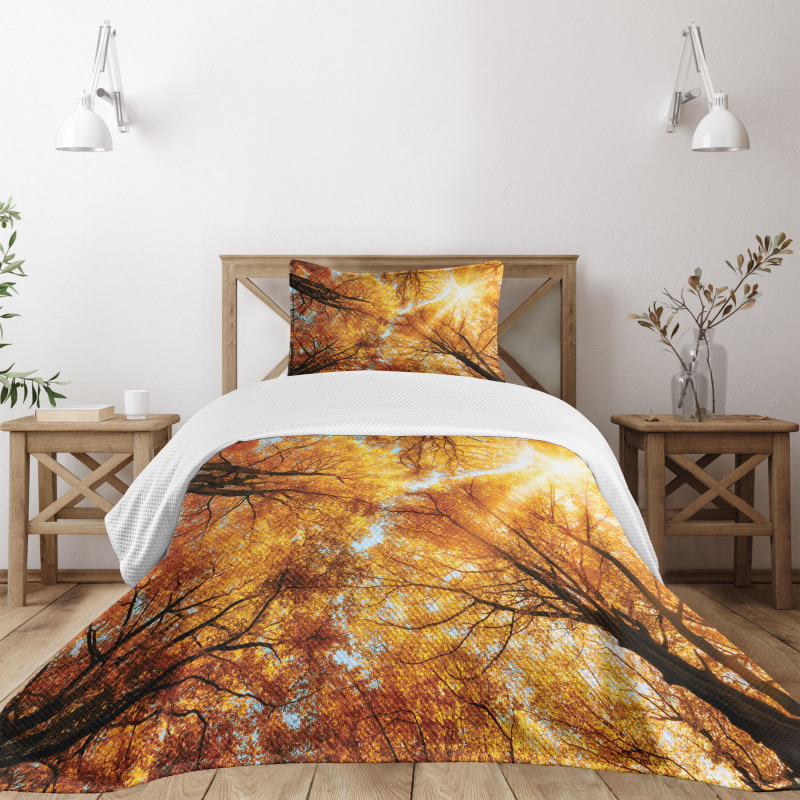 Autumn Sunbeams Forest Bedspread Set