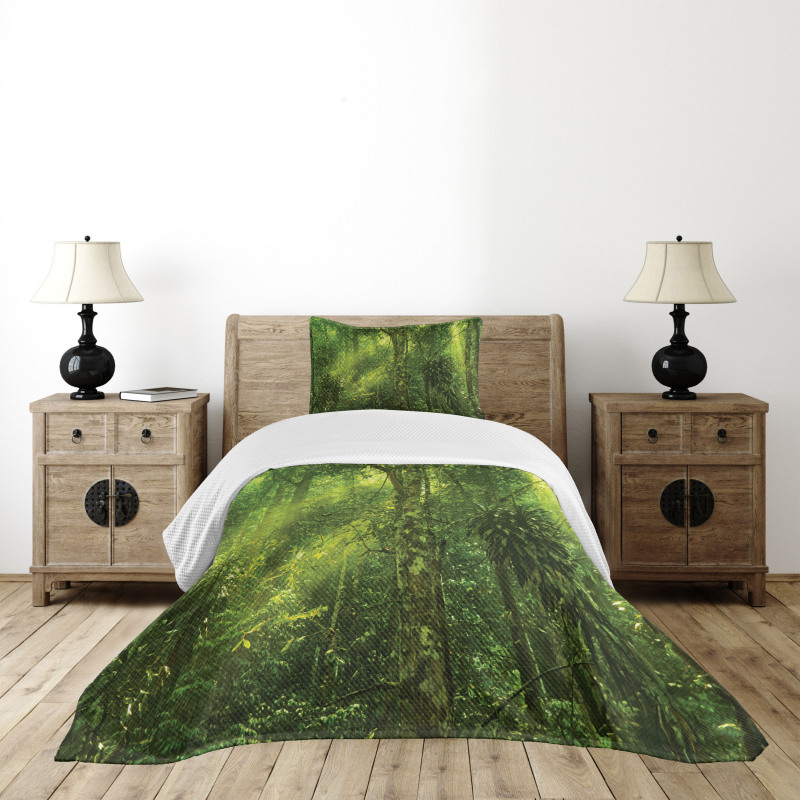 Sun Beams Tropic Forest Bedspread Set