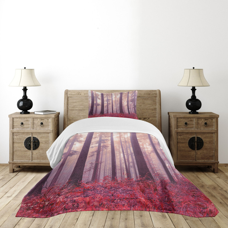 Trees Foggy Sunlight Bedspread Set