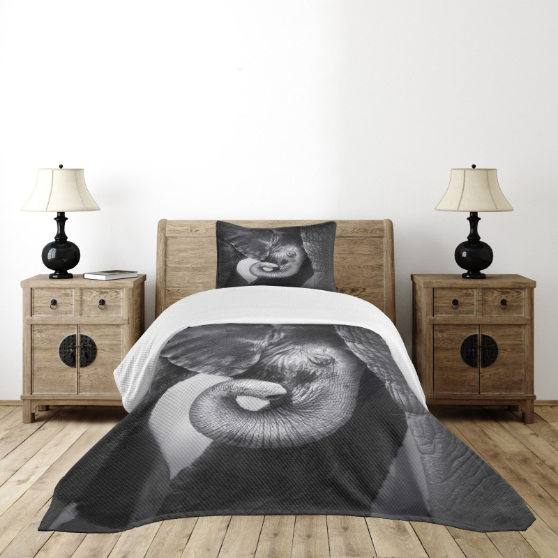 Elephant Mother and Baby Bedspread Set