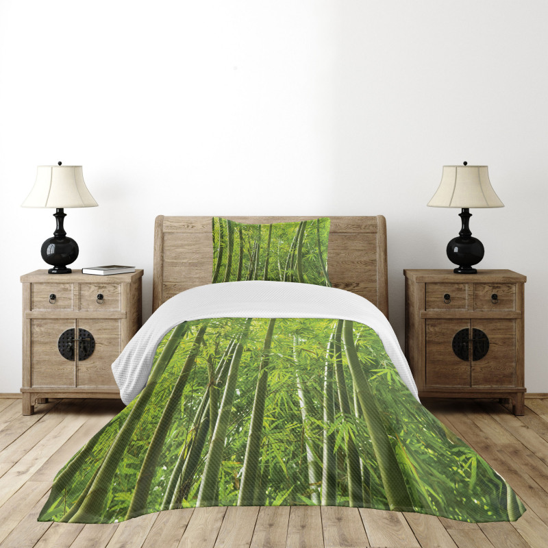 Exotic Tropical Bamboo Bedspread Set