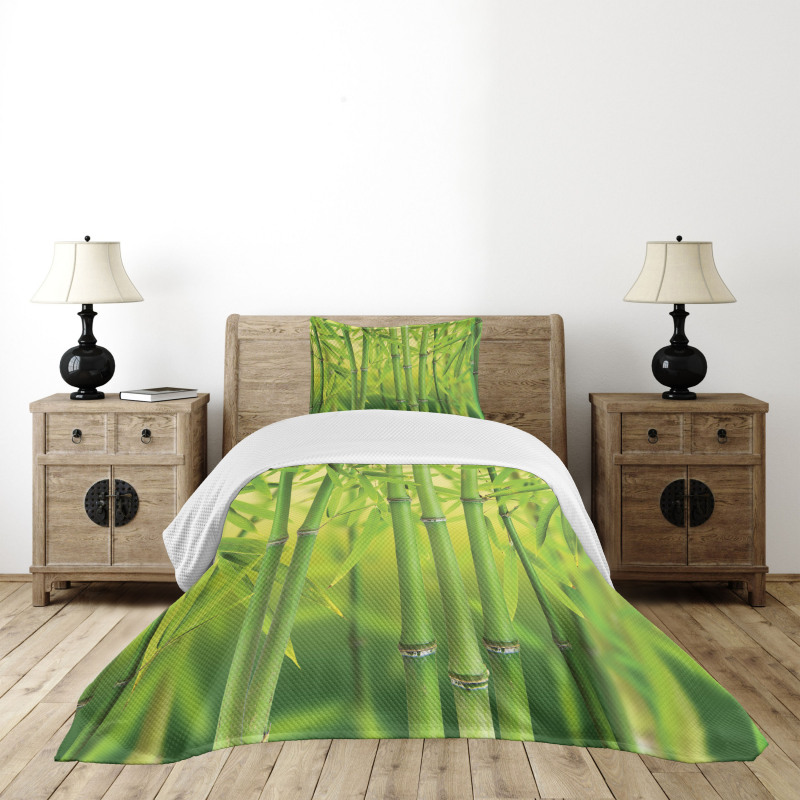 Bamboo Sprout Stem Forest Bedspread Set